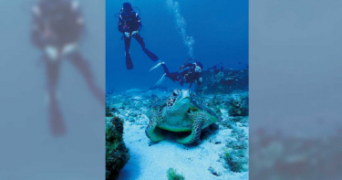 【玩家帶路】化身人魚 浪遊恆春