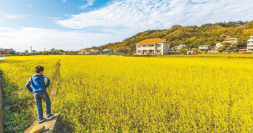 農業部在114學年度與35所學校合作推動「鼓勵高中生從農方案」，鼓勵學生在寒暑假或周末透過實務探索了解農產業的現況，每學年可領取最高3萬元獎學金。（圖／本報資料照片）