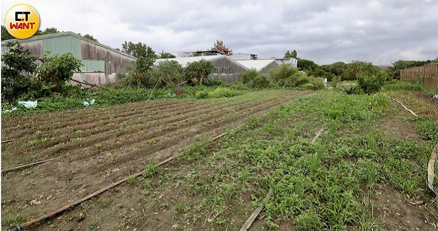 社子島因歷史因素禁限建範圍廣大，是北市罕見保有鄉村景色的一塊區域，如今則陷入開發角力。