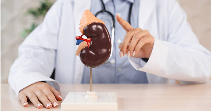 譚敦慈提醒，若出現「高、貧、泡、水、倦」症狀，應注意可能是腎臟出了問題。（示意圖／翻攝自photoAC）