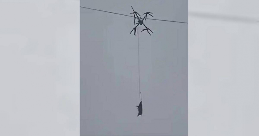 大陸四川省巴中市通江縣鐵佛鎮日前發生1起因無人機違規操作引發的意外事件。（圖／翻攝自微博）