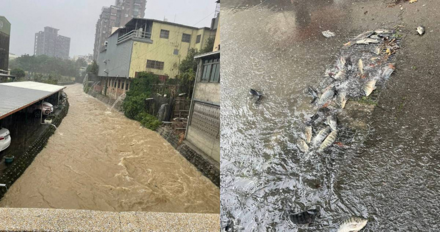 苗栗市新庄街出現積淹水情形。（圖／翻攝自臉書／苗栗大小事）