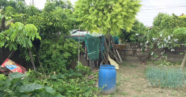 宅男自家後院拈花惹草 多種「這一株」引警方上門