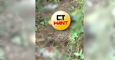 工人忍惡臭除草! 驚見「白蛆爬滿軀體」頭顱、屍塊四散