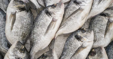 只因一根魚刺!女子全身長滿「疙瘩」 醫曝嚴重後果