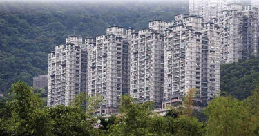 【毒貓煉獄1】名人社區成貓墳場 30毛孩慘被毒殺