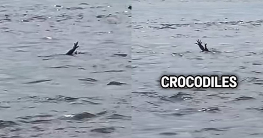 印尼峇里島有隻鱷魚疑似「模仿人類溺水」，將四肢伸出水面揮舞。（圖／翻攝自YouTube／Binge Post）
