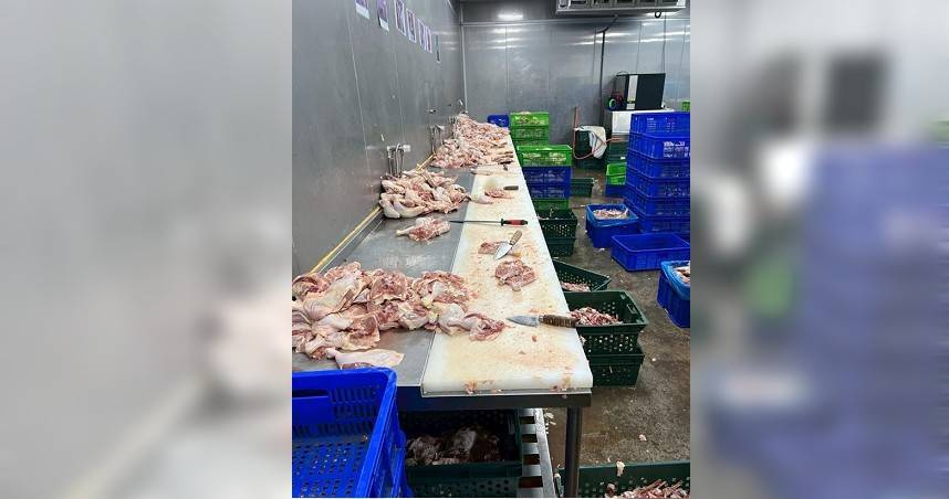 新北雞肉廠暗藏16名泰籍黑工。（ 圖／翻攝畫面）