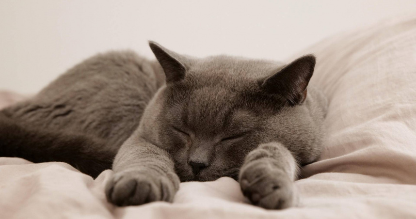 （示意圖／pixabay）