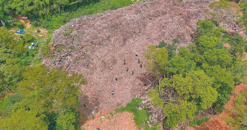 苗栗縣三義鄉山坡地保育區遭棄置大量廢樹枝、樹葉，面積約有1個足球場大小，案經台灣苗栗地方檢察署日前偵結，檢察官以違反廢棄物清理法、水土保持法等罪嫌，對12人提起公訴。（圖／苗栗地檢署提供）