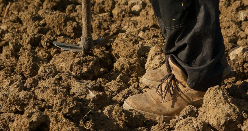 英國一名農夫與朋友在田裡找到一些古錢幣和湯匙，後來有專業團隊調查，才發現有大批古物，他最終拿到約175萬英鎊（約新台幣7500萬元），以今日幣值估算，約新台幣2億元。（示意圖非當事人／Pixabay）