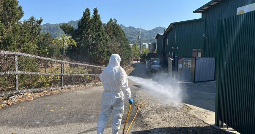 台中豐原區蛋雞場爆發H5N1禽流感，市府成立前進指揮所進行撲殺與消毒作業。（圖／台中市政府提供）