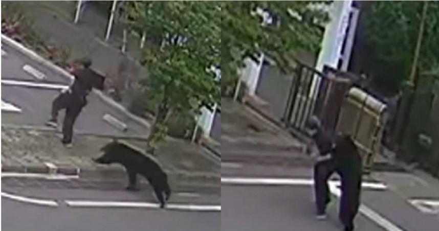 日本福島發生黑熊攻擊市民事件，造成4人受傷，目前傷人的黑熊尚未被捕獲。（圖／翻攝自YouTube／【FNNプライムオンライン】）
