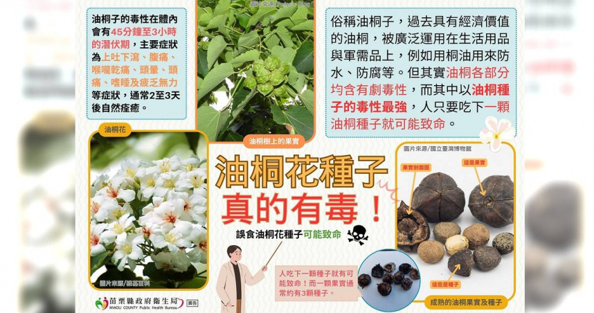 環境打掃竟誤食油桐花果！北市中學14名學生送醫　校方說話了