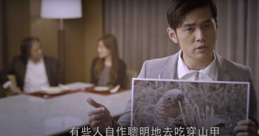 穿山甲得救!中國將牠從中藥除名 網批:這是否定老祖宗
