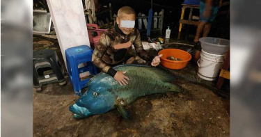 蘭嶼「龍王鯛」真的死了!2男被抓到 辯稱:拍照後就放回海裡