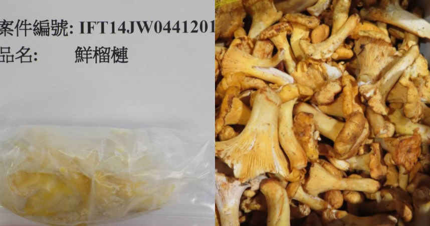 食藥署22日公布最新邊境查驗不合格名單，其中有3批來自越南的「鮮榴槤」、1批來自羅馬尼亞「新鮮黃蘑菇」等產品不符規定。（圖／翻攝自食藥署官網）