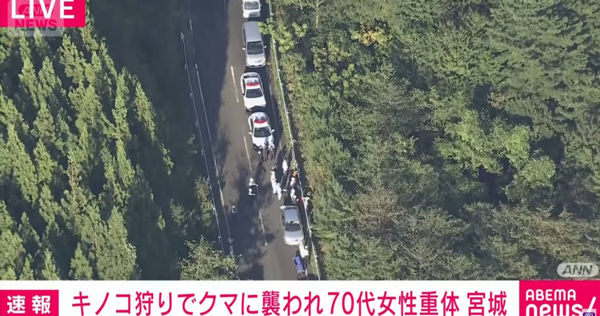 日本宮城縣栗原市傳出罕見的熊襲擊事件。（圖／翻攝自YouTube @ANNnewsCH）