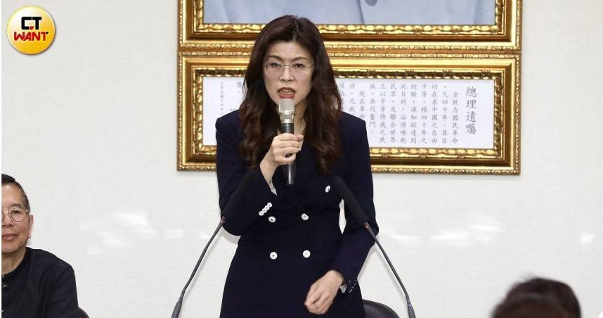 鄭麗文談馬辦風波反問「台商捐款為何要被扣紅帽？」（圖／方萬民攝）
