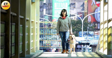 【用愛領航1】忍受無盡分離 導盲犬寄養家庭願做開路天使