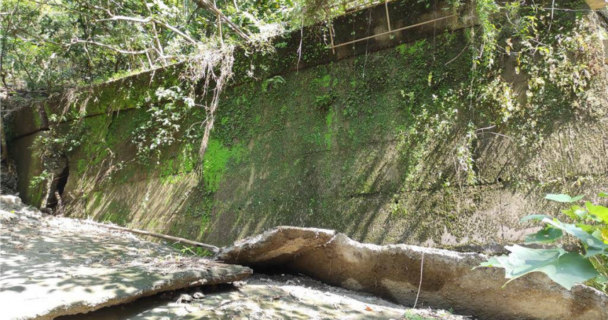 美濃區月光山步道在盧碧颱風侵襲後毀損嚴重，林保署考量遊客安全決議廢止步道，讓山友直嘆可惜。（圖／林保署提供）