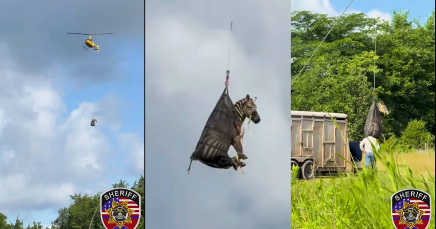 （圖／翻攝自Facebook）