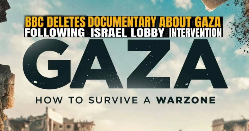 （圖／翻攝自Reddit）