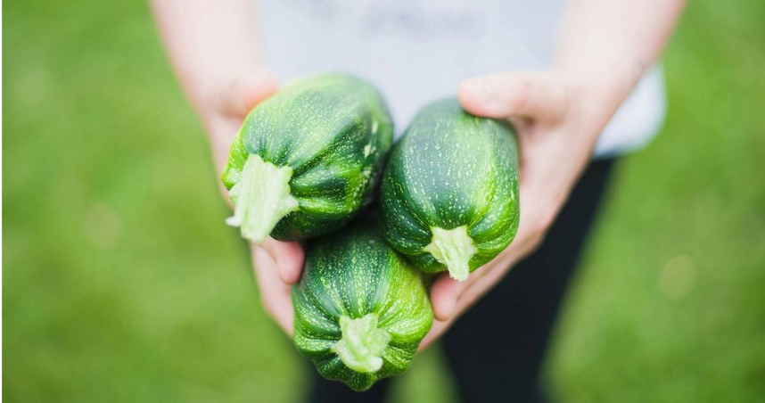 原PO表示，櫛瓜在台灣根本是暴利。（示意圖／Pexels）