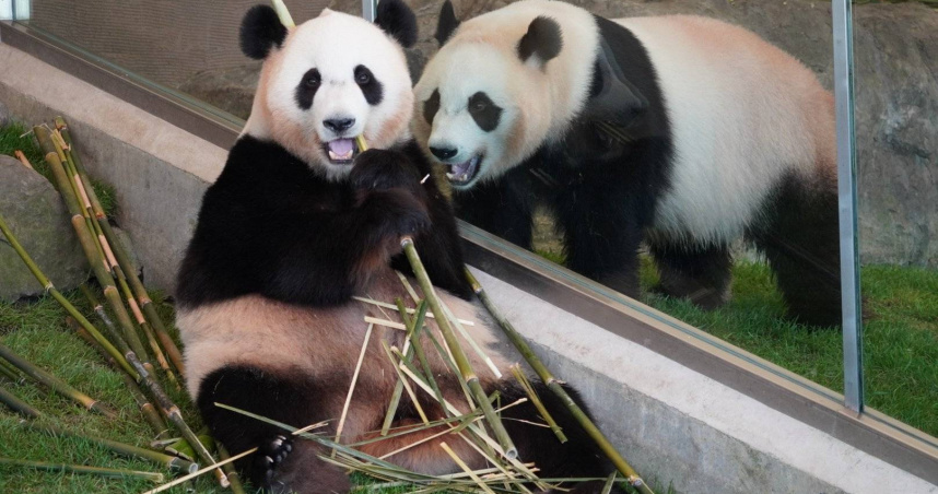 （圖／翻攝自社群網站X）