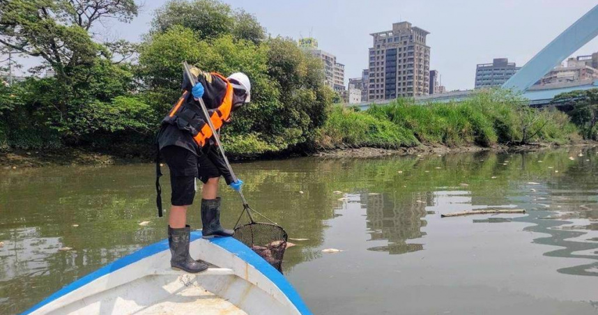 北市曝魚群暴斃真相，竟是「氣候惹的禍」。（示意圖／本報資料照）