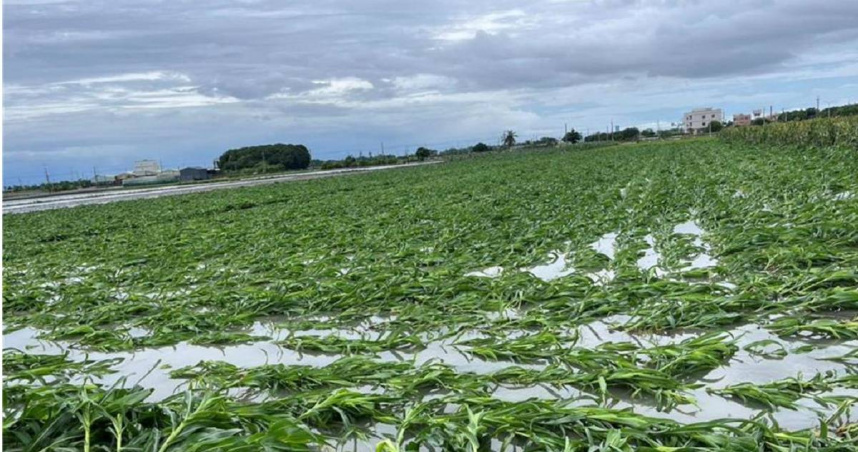 針對丹娜絲颱風及豪雨災情，農業部啟動多項天災救助辦理，將10縣市、844項農產納入現金救助與低利貸款措施，並簡化申請流程。（圖／報系資料照）