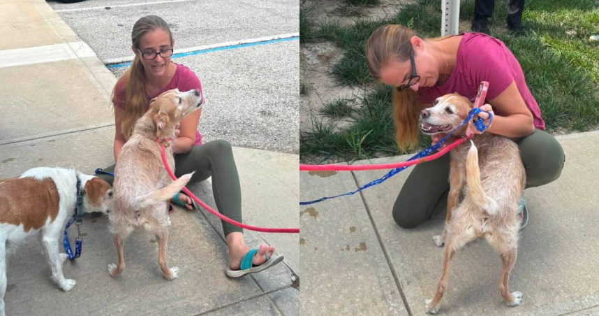 美國狗狗「Chong」走失5年後，終於和主人賈克曼重逢。（圖／翻攝自臉書／Hendricks County Animal Shelter）