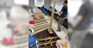 海巡署破史上最大宗販售保育類製品「鯊魚劍」 1支要價18萬