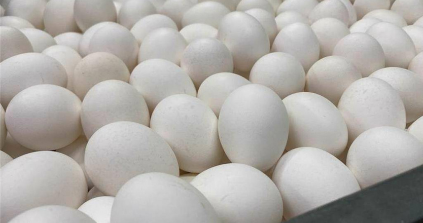 我國雞蛋產銷價已連續3周調漲，前兩周共調漲5元，本周將再度調升3元，調升後產地每台斤30.5元、批發每台斤40元。（圖／報系資料照）