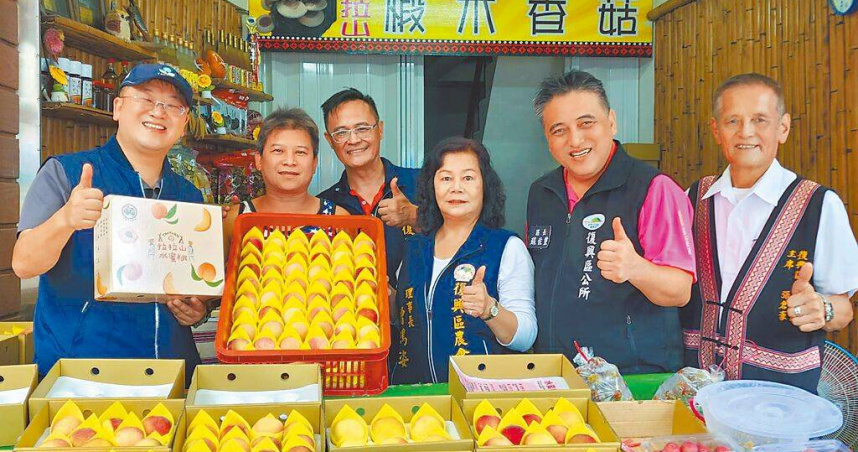 桃園市府13日跨局處聯合稽查拉拉山水蜜桃攤商，農業局長陳冠義（左一）表示，希望保障消費者權益，也希望農友一起維護拉拉山水蜜桃品牌。（圖／中國時報賴佑維攝）