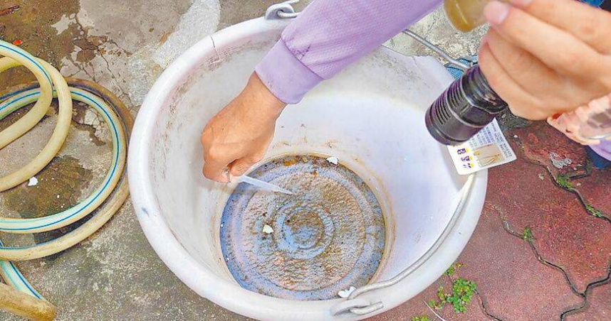 台南市全面阻絕登革熱疫情，查獲陽性孳生源就開單，截至9月8日已開立舉發通知書1110件，樣態又以住家占大宗。（圖／台南市衛生局提供／中國時報曹婷婷台南傳真）