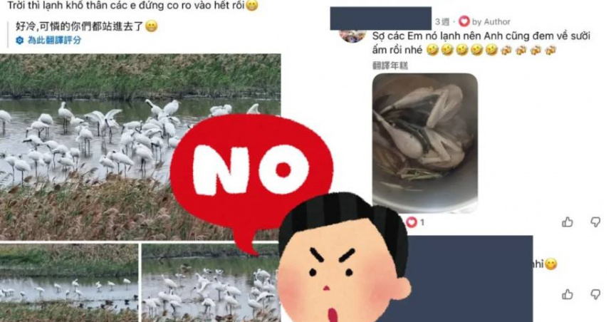 民眾黨台南黨部副主委江明宗證實，黑面琵鷺並未遭外勞獵捕或煮食。（圖／翻攝自臉書＠k.olc.tw）