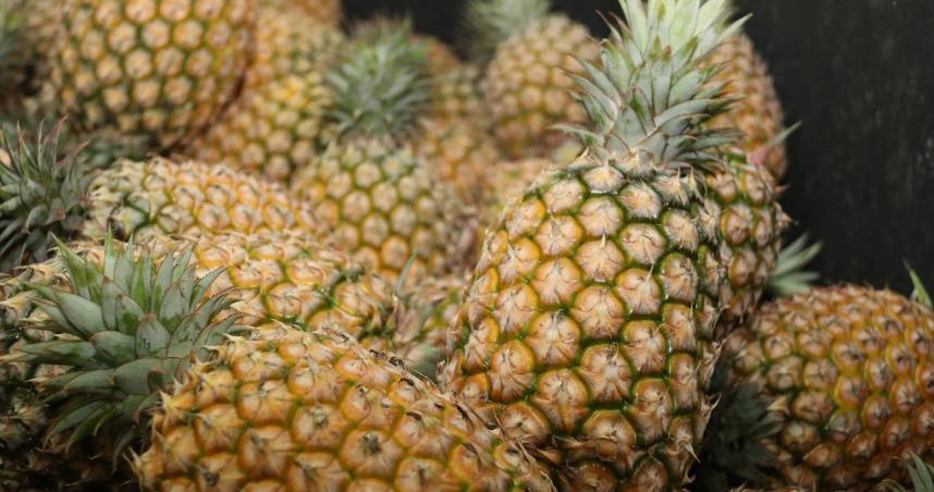 農糧署提醒，鳳梨倒放並不會增加糖分。（圖／翻攝自農業部農糧署官網）