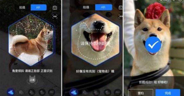 貓狗可買保險? 支付寶寵物鼻紋識別技術上架