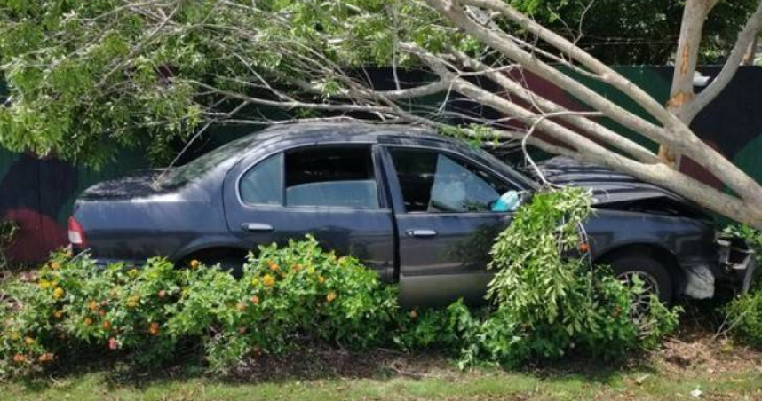 李男駕車突自撞路樹及營區外的圍牆，疑精神狀況不佳惹禍，造成他身體擦挫傷送醫。（圖／翻攝畫面）