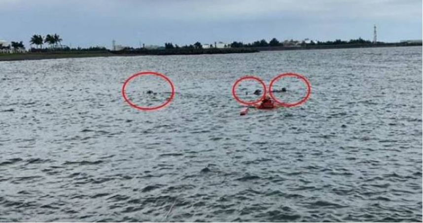 蔡姓老翁下海游泳時慘遭流浪犬追咬，導致老翁溺斃。（圖／翻攝畫面）