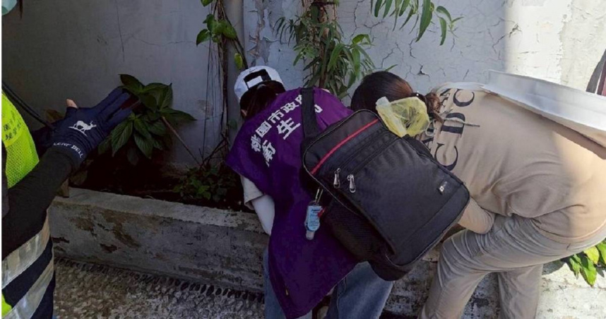 桃園市新增2例本土登革熱確診病例，2名個案均居住或活動於龜山區兔坑里。經調查，個案與第一例文中里個案曾共同出入同一處宮廟，研判與該場域有關聯性，為同一群聚事件，目前桃園市累積6例本土登革熱。（圖／桃園市衛生局提供）