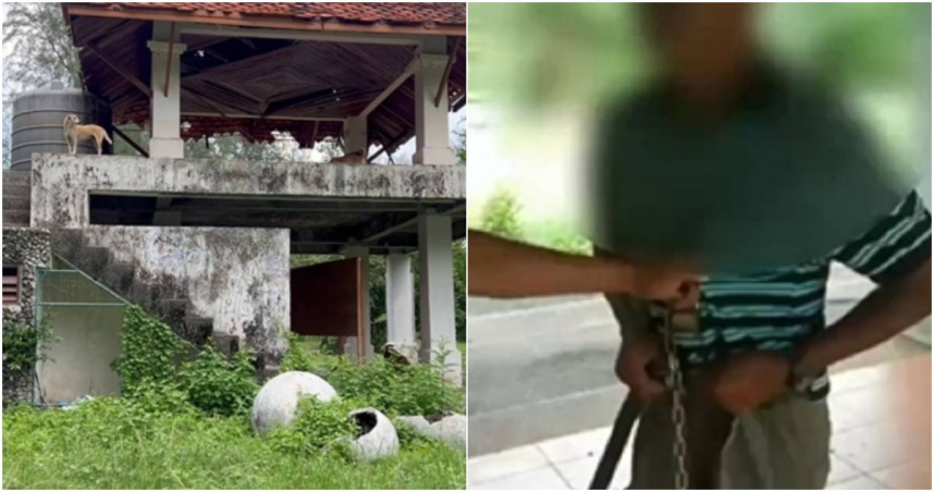 1名59歲泰國男子承認在市區1座公園的公共廁所內性侵母狗。（合成圖／翻攝自《The Thaiger》）