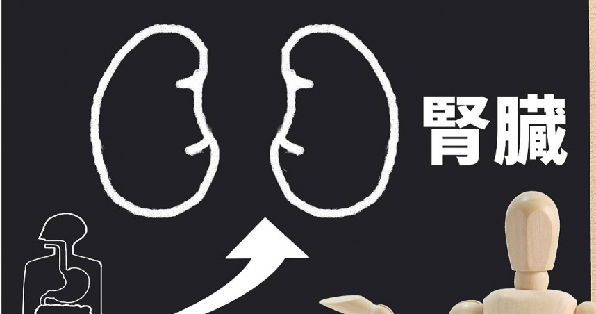 醫師談護腎食物迷思。（示意圖／photoAC）