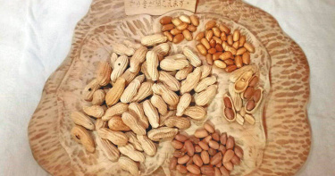 高雄藝術家曾慶棟的花生木雕《似真是假》因太過逼真，寄往日本參賽時被海關誤扣。（圖／翻攝畫面）