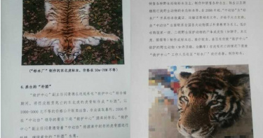 野生動物救護中心遭爆「高層帶頭請吃獅子肉」!製「虎骨酒」公開販售