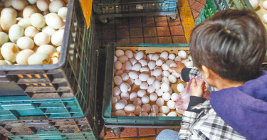 台北市蛋商公會理事長林天來5日坦言，受到農曆春節休市影響，全台各地蛋商雞蛋囤貨量大，臨時召開會議並決議調整蛋價，6日起產地價降3元、周四批發價降3元。（圖／中國時報鄧博仁攝）