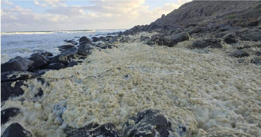 上週末，澳洲南澳州（South Australia）的臨海城鎮維克多港（Victor Harbor）的懷特平加海灘和帕森斯海灘上，遍布著數米厚的黃色泡沫以及數十條死魚和海馬，且有超過100名衝浪者和遊客出現了感冒和過敏症狀。（圖／翻攝自X平台）