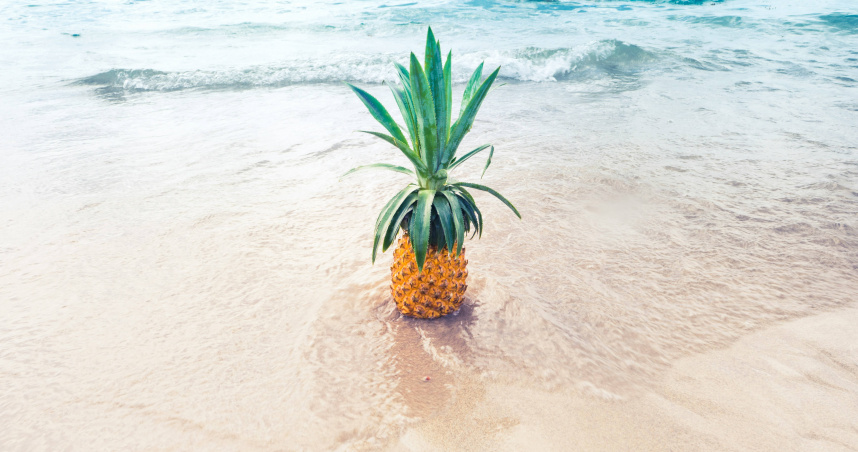 隨著「夏至」節氣到來，3生肖將會在當天開財運。（示意圖／翻攝自unsplash）