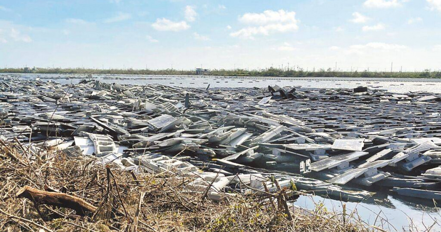 丹娜絲颱風過境後，光電板去化引起關注。圖為嘉義沿海滯洪池光電案場。（圖／報系資料照）
